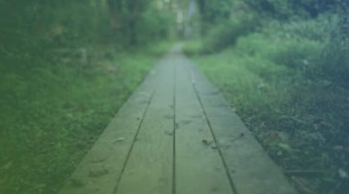 Mastering Change Leadership