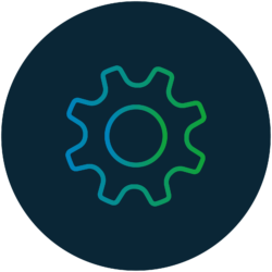 Business & Technology Implementation