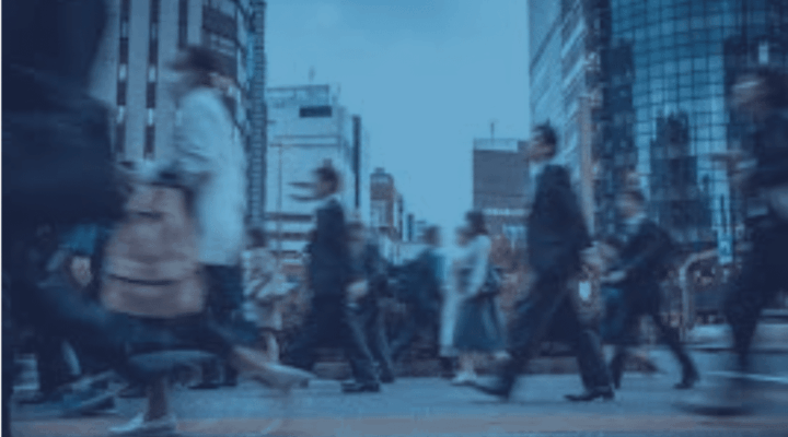 Screenshot 2025 08 18 at 13.33.59