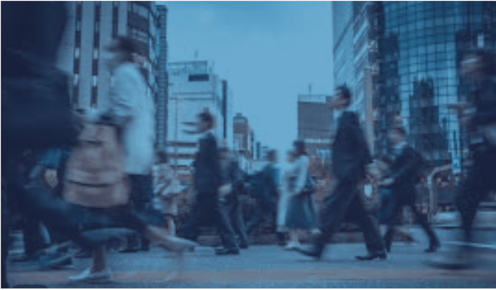 Screenshot 2025 08 18 at 13.33.59